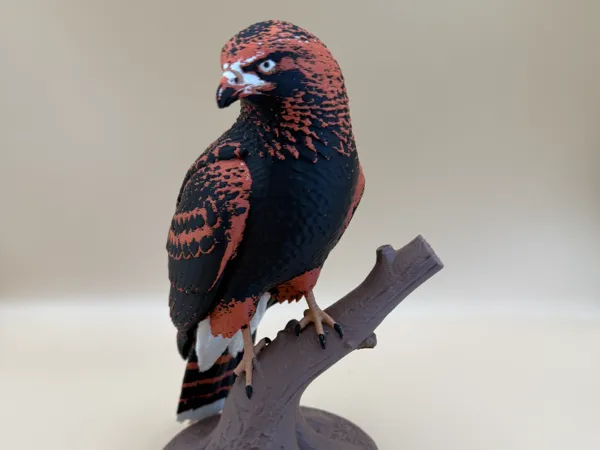 https://makerworld.bblmw.com/makerworld/model/USeccae5a8f494ea/design/e69239835de097ab.jpg