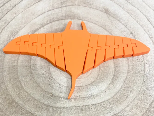 https://makerworld.bblmw.com/makerworld/model/USeccfc2b162bfae/design/2024-06-15_c344c5757c81b.webp
