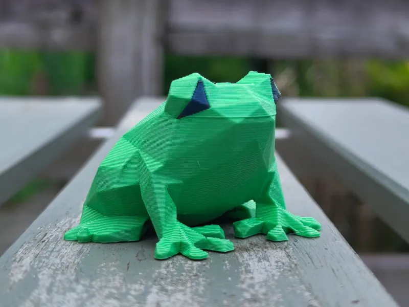 Polly the frog