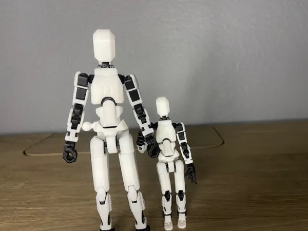 https://makerworld.bblmw.com/makerworld/model/USecd298b232f512/design/2024-12-15_6321190c6e5d3.jpg