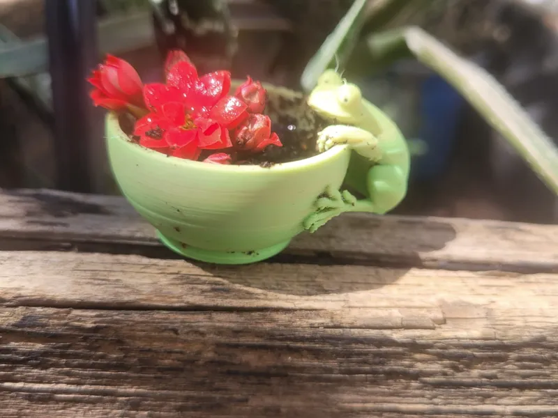 frog flower pot