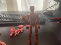 0.15mm layer, 2 walls, 20% infill