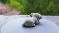 Petit chien mignon — photo 3