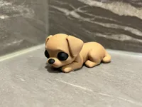 Petit chien mignon — photo 6