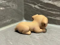 Petit chien mignon — photo 8