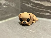 Petit chien mignon — photo 5