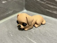 Petit chien mignon — photo 10
