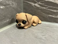 Petit chien mignon — photo 4