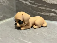Petit chien mignon — photo 9