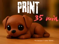 Petit chien mignon — photo 1