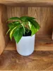 Round Flower Pot Ø 100 mm – 110 mm Height