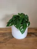Round Flower Pot Ø 150 mm – Height 140 mm