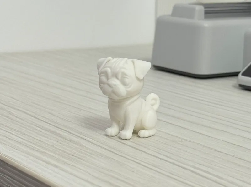 Dog Pug