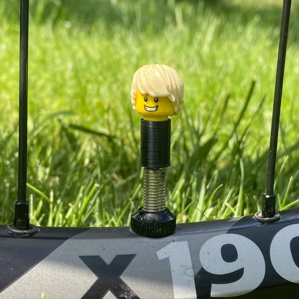 https://makerworld.bblmw.com/makerworld/model/USece07a1e1e51b3/design/2024-03-23_54152e73e55d4.jpg