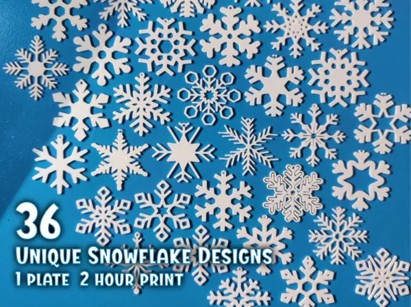 https://makerworld.bblmw.com/makerworld/model/USece0cdf4b8e68b/design/2024-11-27_26889a4ebf0dc.png