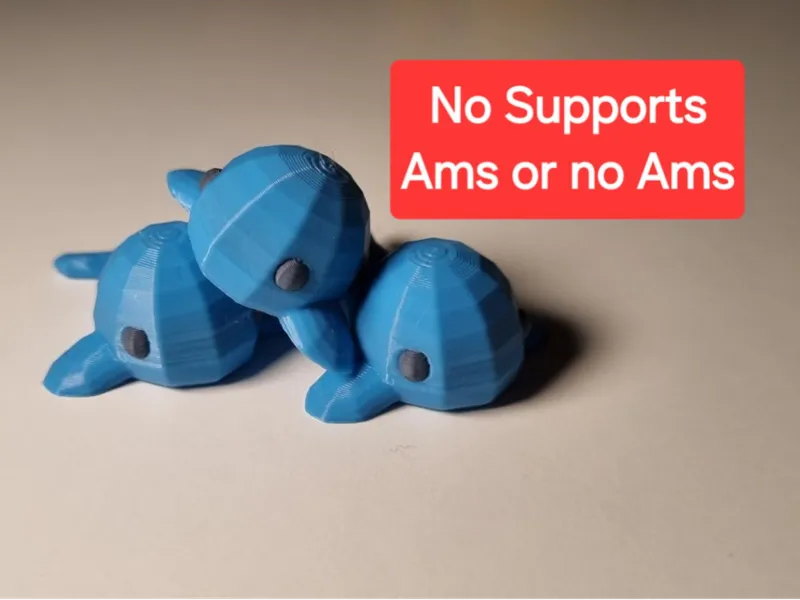 Cute Tiny Whale - Low Poly