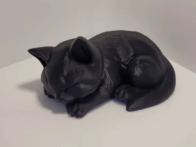 Sleeping Cat