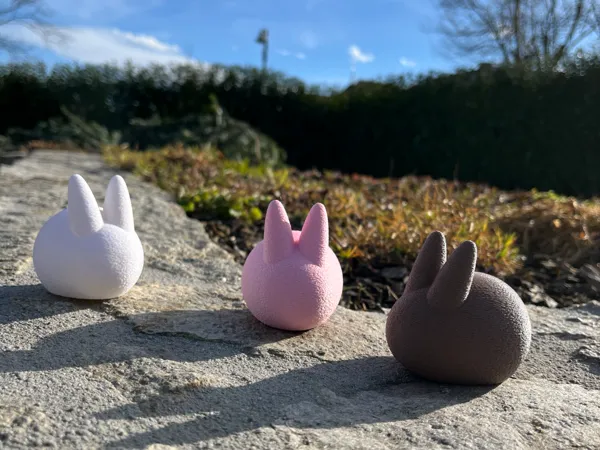 https://makerworld.bblmw.com/makerworld/model/USece3ac05cecbe6/design/11536eb3c7fd4440.jpg