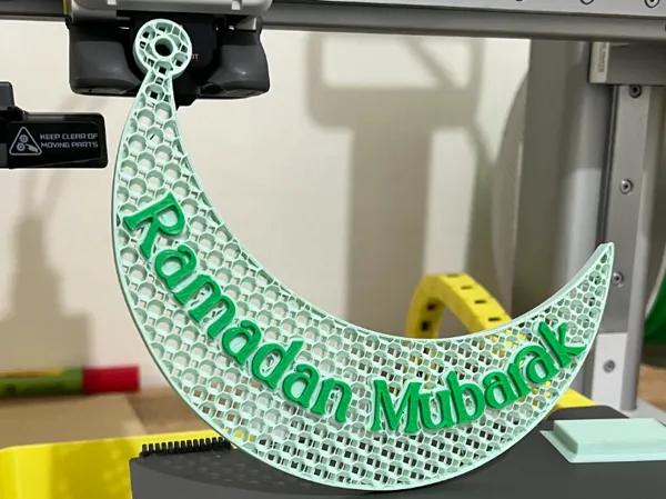 https://makerworld.bblmw.com/makerworld/model/USece48ffb9c189e/design/2025-03-09_2fc81c15eefe2.jpeg