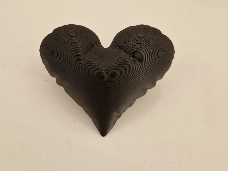 Heart 