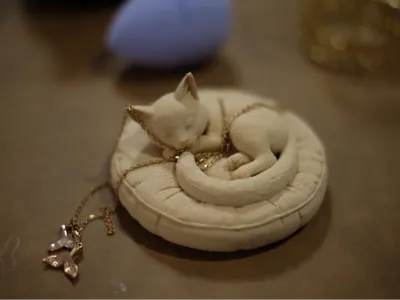 Jewelry organizer sleeping cat