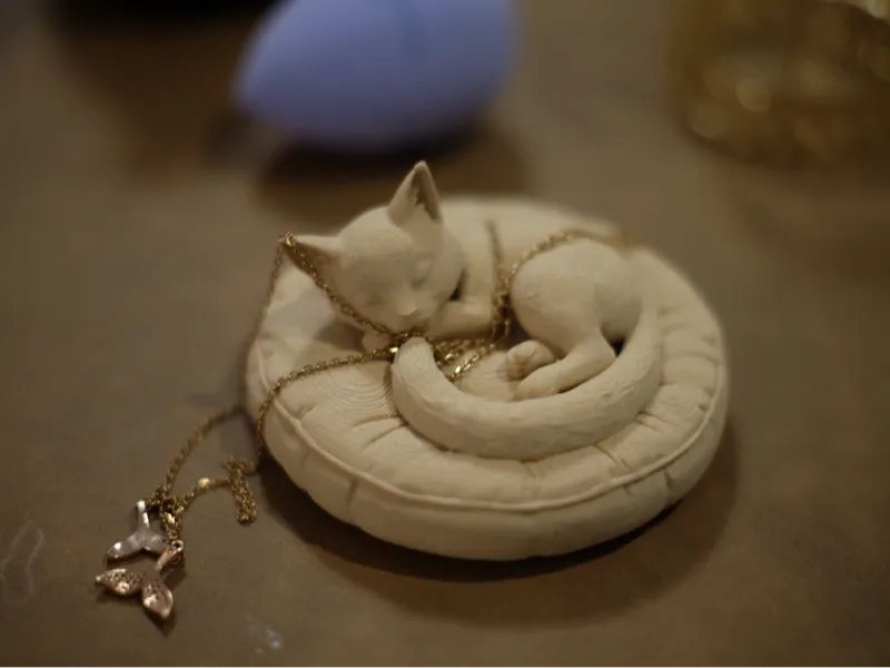 Jewelry organizer sleeping cat