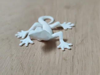 Fridge magnet Gekko
