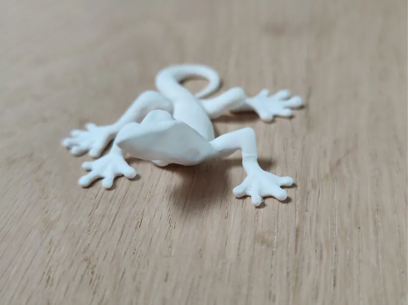 Fridge magnet Gekko