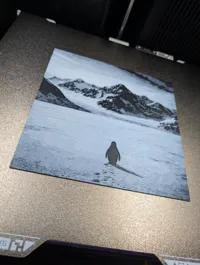 0.08mm layer, 2 walls, 15% infill