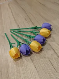 6 complete Tulips, multiple size of stem , 2 plates [AMS]