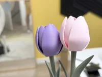Tulip Leaf Remastered (Smooth High-Detail Version)