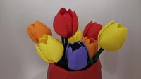 9 tulips (customize colors) in sequence & stems in 3 sizes