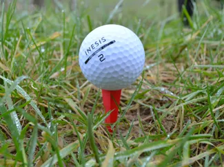 Golf Tee