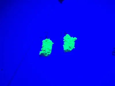 sfGFP (Green Fluorescent Protein) earrings