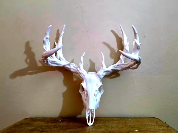 https://makerworld.bblmw.com/makerworld/model/USecf43e27f02705/design/2025-11-25_ad052f88fc3c5.jpg