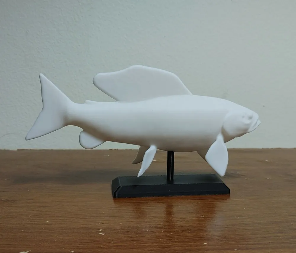 Grayling Model Arctic Grayling Fish Mount by Fish Prints MakerWorld: Download Free 3D ...