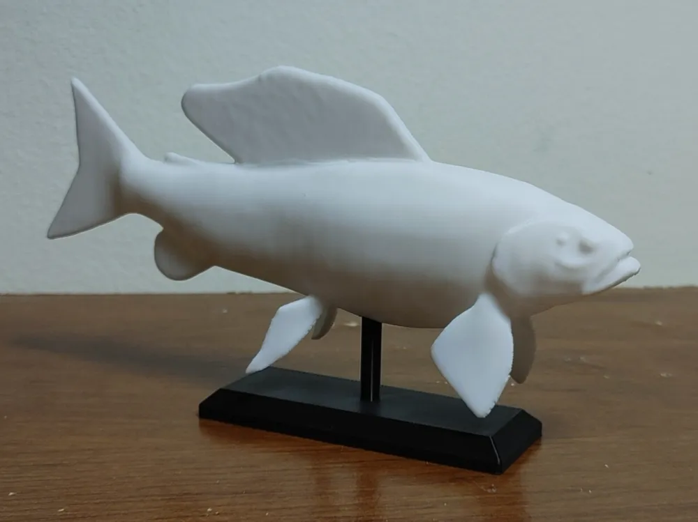 Grayling Model Arctic Grayling Fish Mount by Fish Prints MakerWorld: Download Free 3D ...