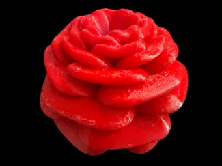 Nylander Rose