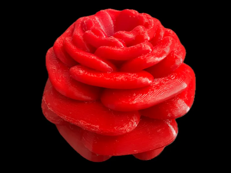 Nylander Rose