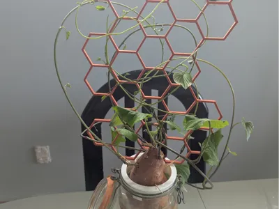 Hydroponic plant support