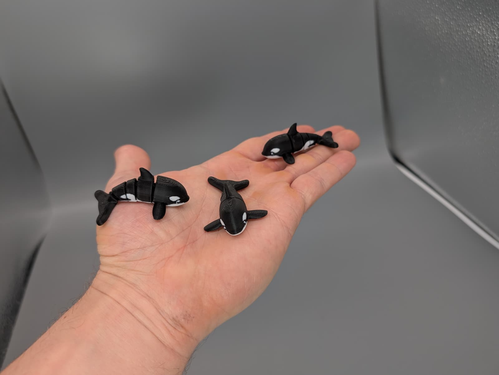 Miniatura 1 do modelo 3D Tiny Orca