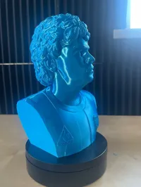 Buste de Maradona — photo 6