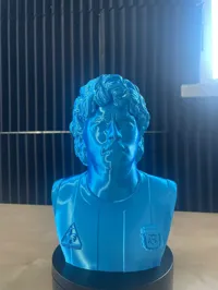 Buste de Maradona — photo 4