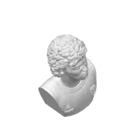 Buste de Maradona — photo 3
