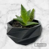 Cache-pot hexagonal low poly — photo 3