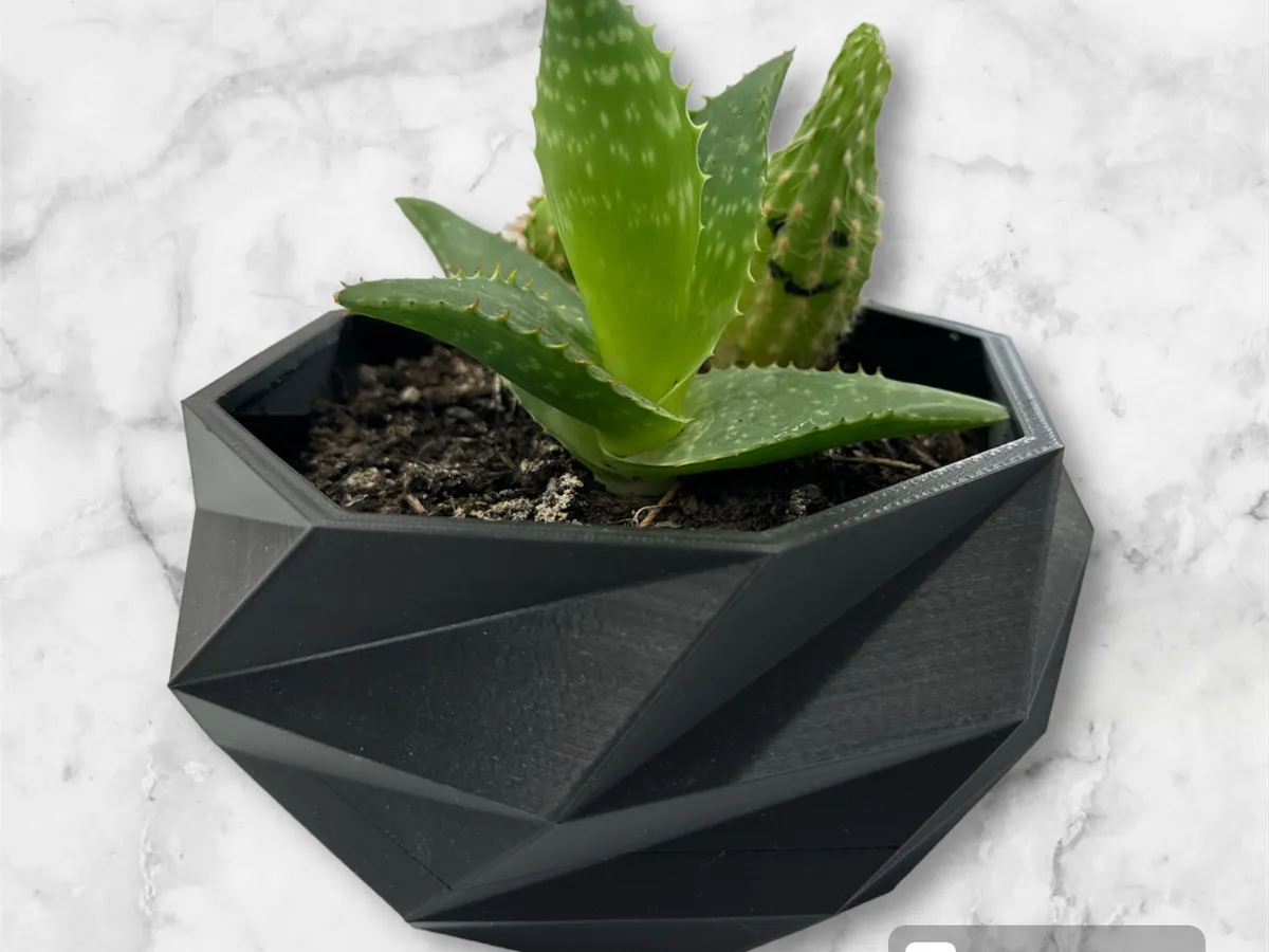 Cache-pot hexagonal low poly