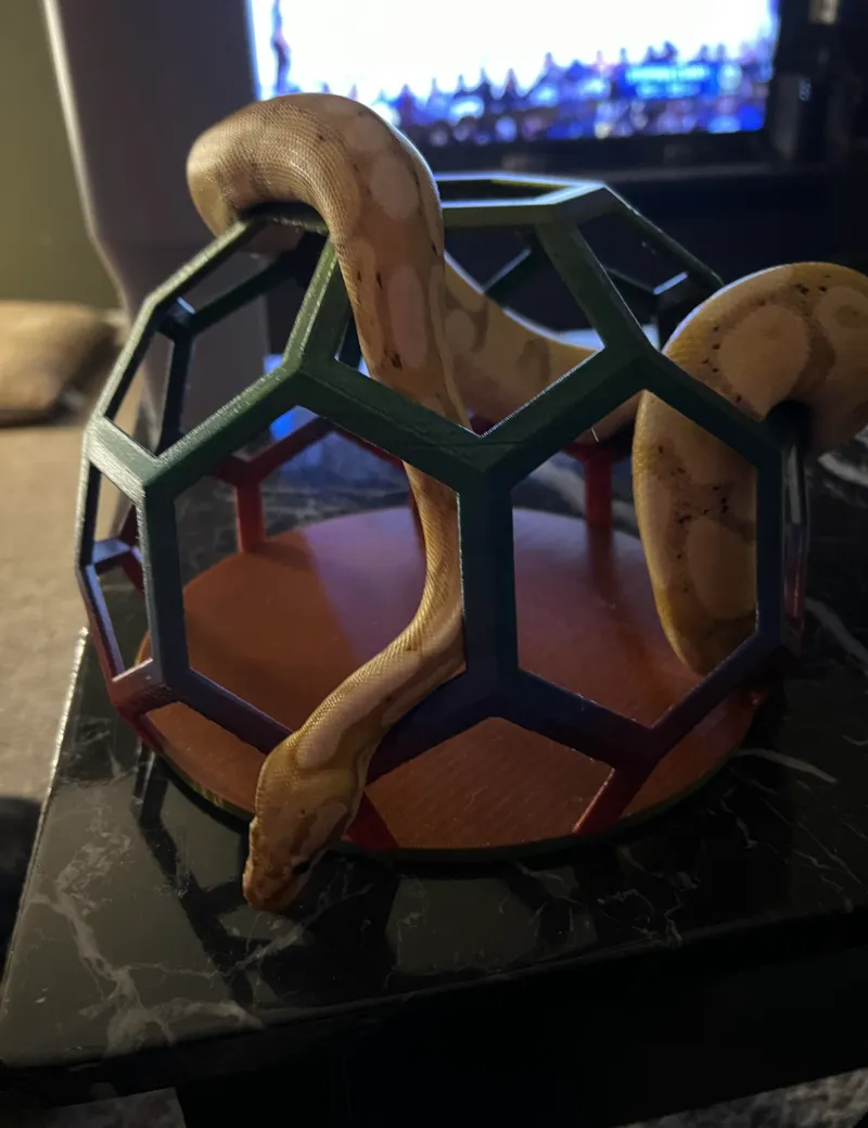 Snake Enrichment Hex Hide / Toy