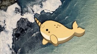 Magic Narwhal Puzzle Box for Jewlery & Trinkets 