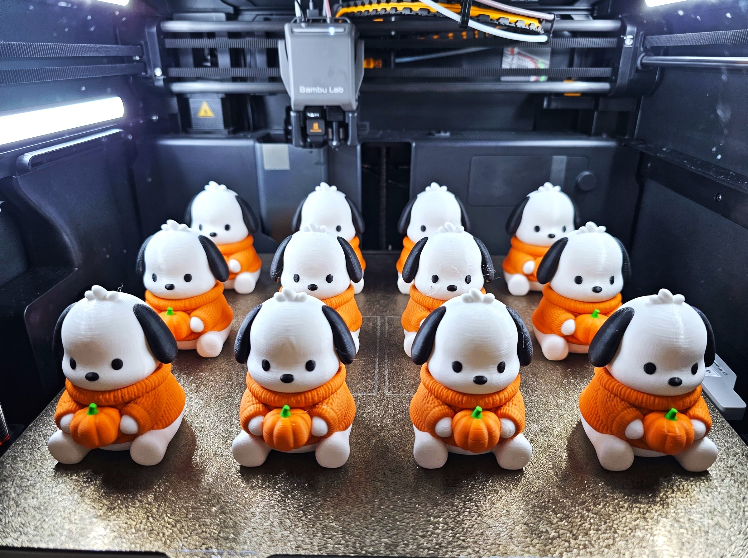 pochacco halloween - 1