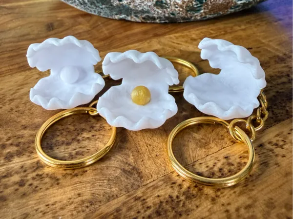 https://makerworld.bblmw.com/makerworld/model/USed16c7725e31cf/design/e69bde6cd3eb9c85.png